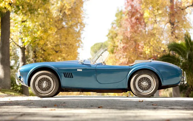 1964shelbycobra28902crop