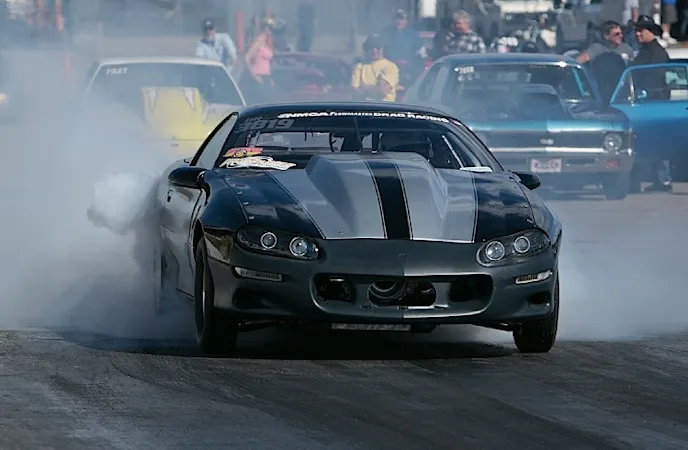 44938054-PAL_8374bd41