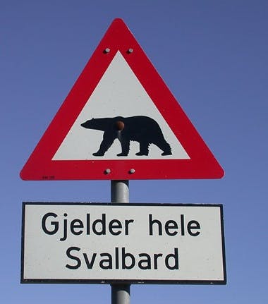 The polar bear warning sign in Svalbard recently changed from displaying a black bear on white background to a white bear on black background (both signs are triangular with a red border).