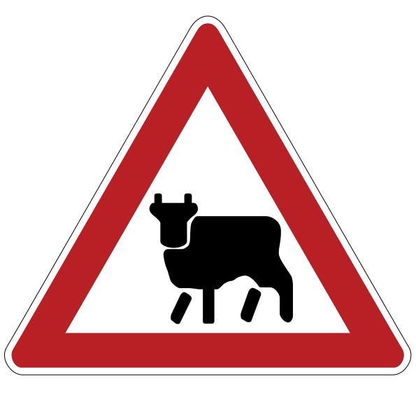 This Russian road sign is typical of many warning signs around the world.