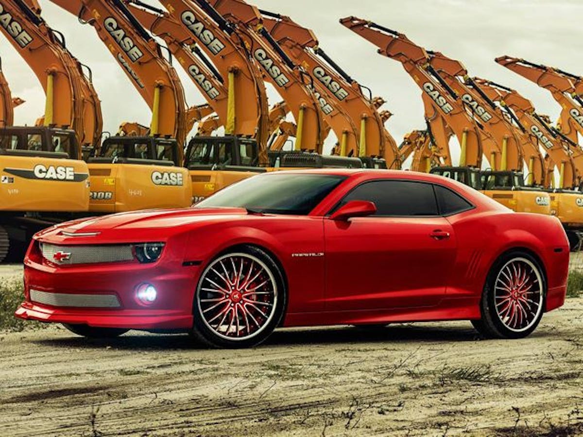 Pictures: William Stern