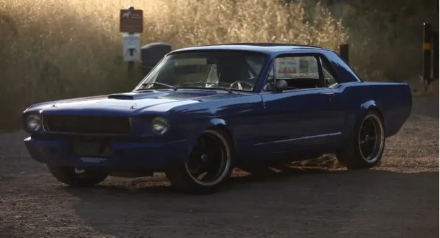 big_muscle_maier_mustang_4