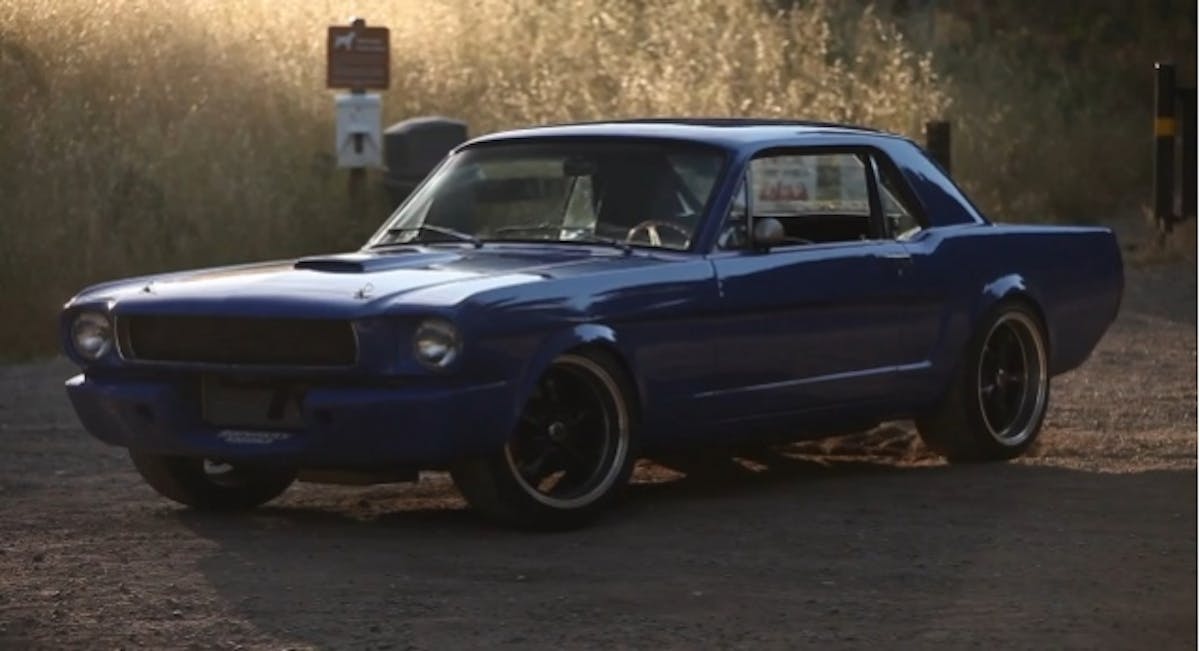 big_muscle_maier_mustang_4