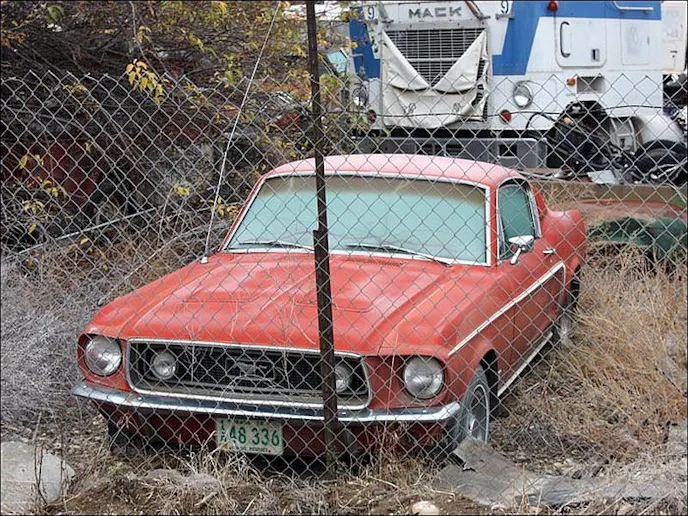 Hopefully the owner takes her for a drive again.