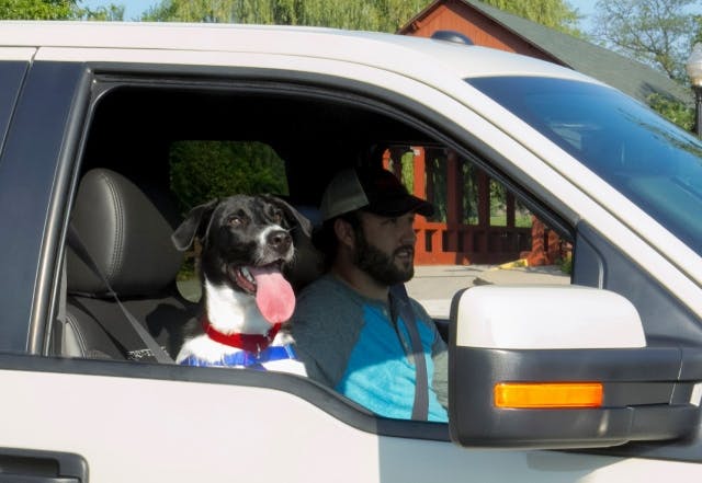 Jinx_the_Dog_and_Truck_Safety