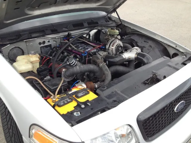 Photo courtesy of: Cameron Powers