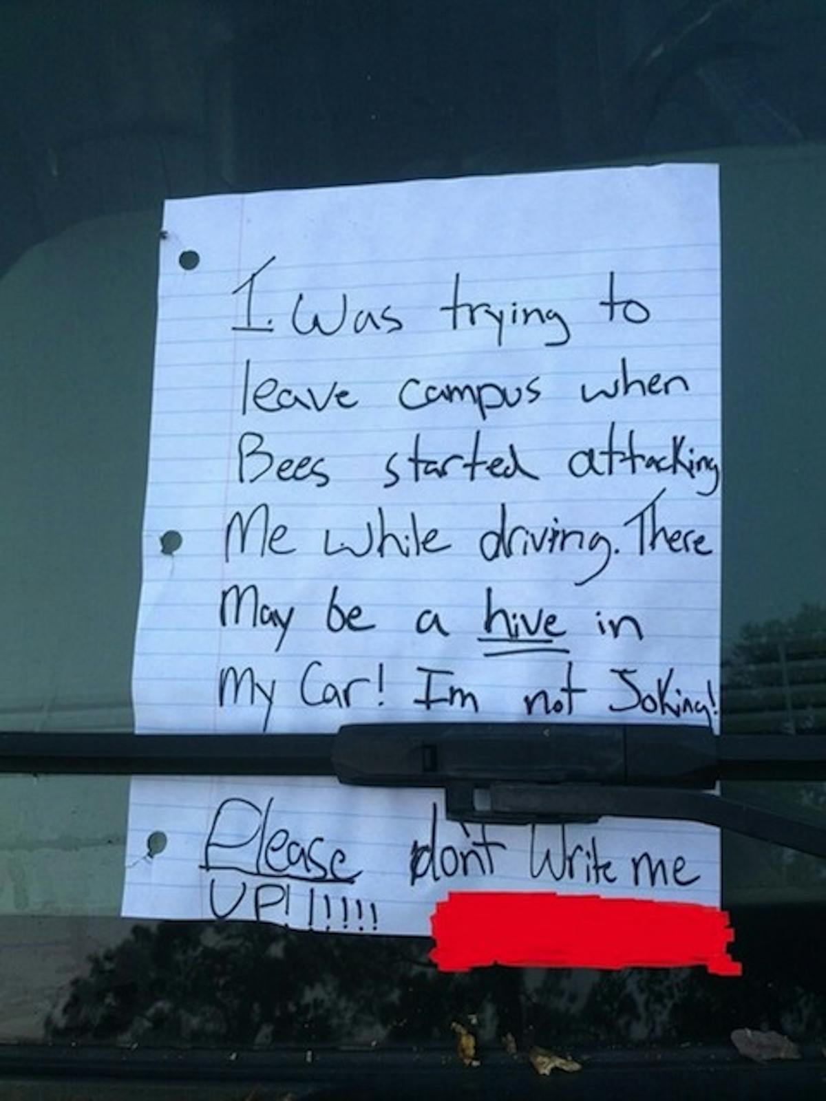 Your firearms are useless against them!