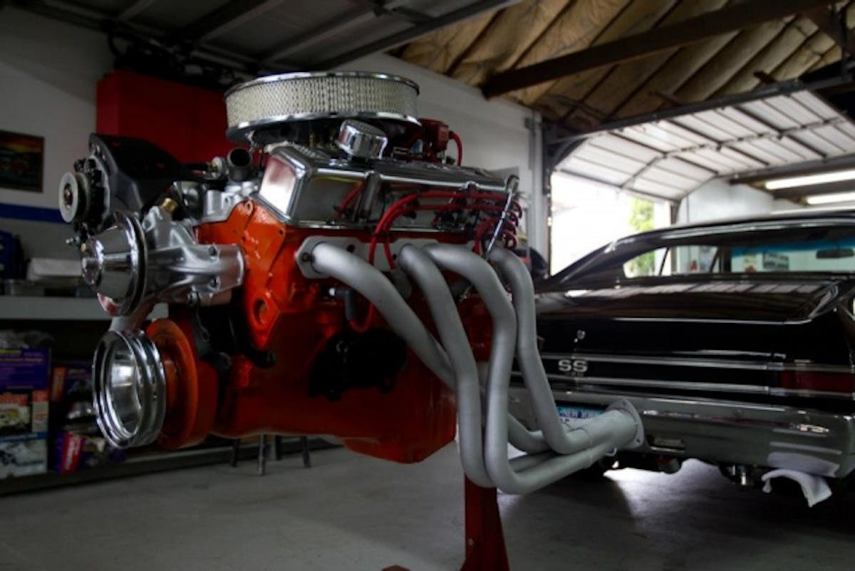 beautys_got_muscle_video_8