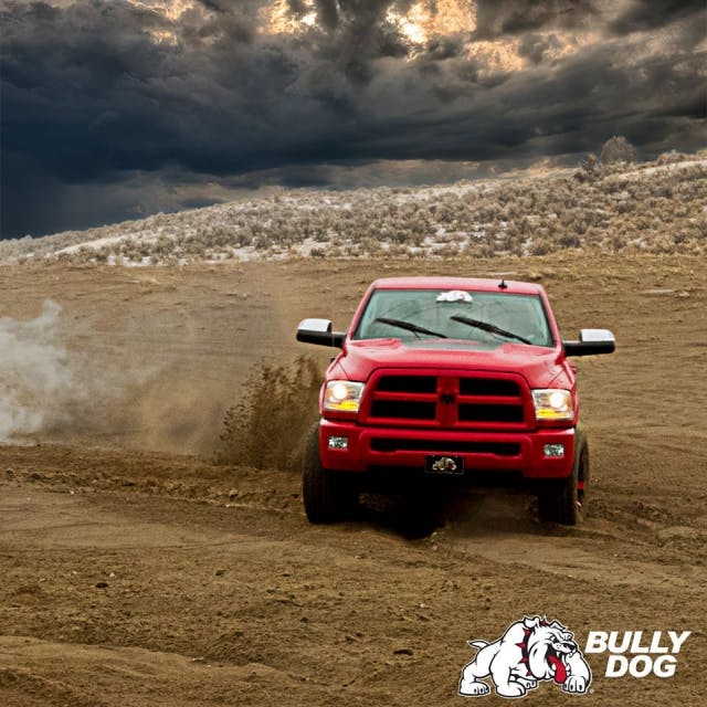 sct_bully_dog_merger_3