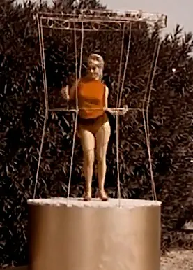 What 1960's video is complete without a Go-Go dancer?