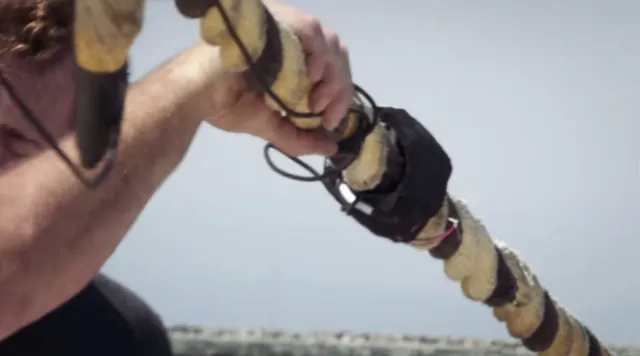 Always good to have a backup plan. Explosives should pretty good to us!