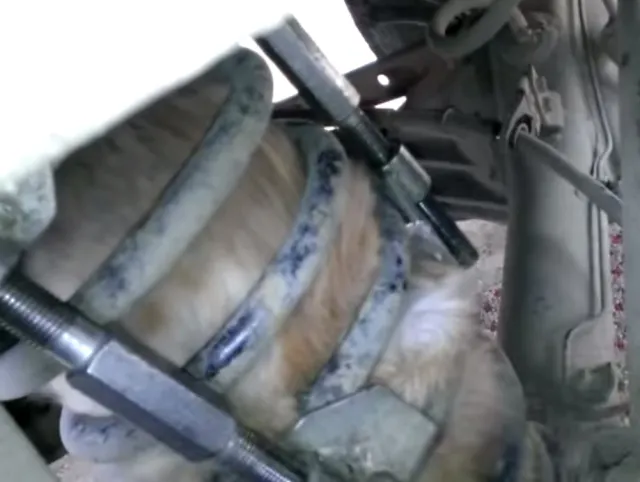 Screen Shot 2014-11-17 at 8.57.19 PM