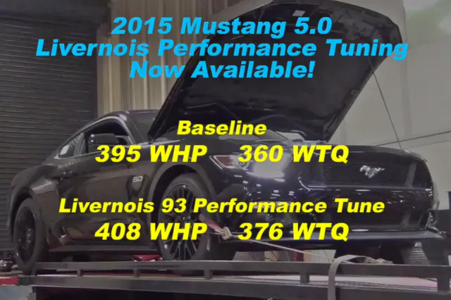 Livernois 15 Mustang-3