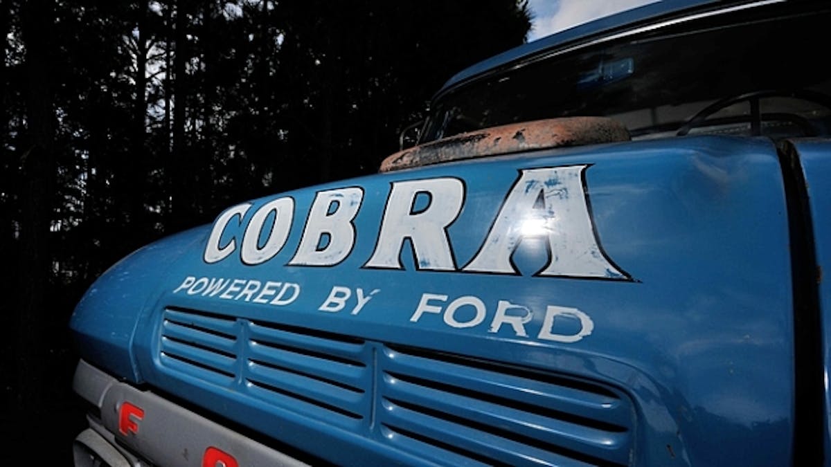 wellborn_collection_3