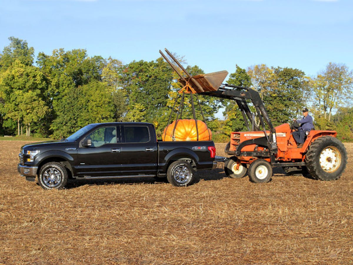 f150-pumpkin02