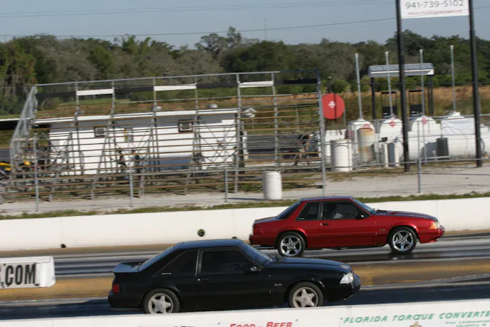 My Fox at the track_02