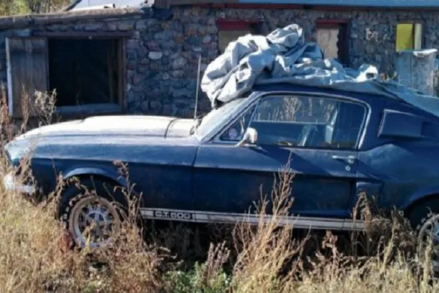 1967-Ford-Mustang-Shelby-GT500-Barn-find-