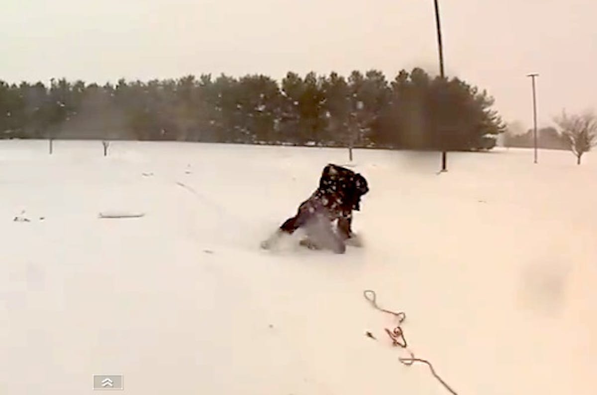 First try with a skateboard. Result: Failure.