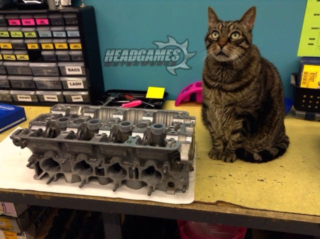 Buford standing guard.