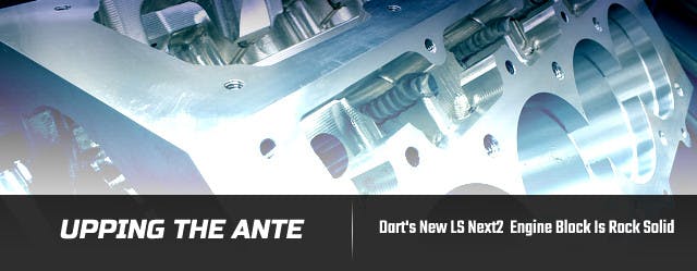 LEAD-BLACKFRAME1 copy