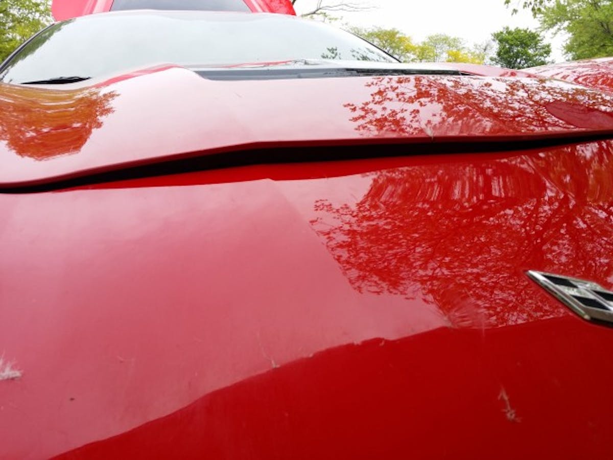 c7-corvette-hits-deer-the-damage-is-an-eyesore_5