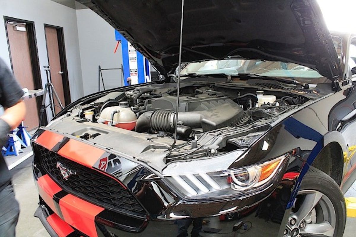 Hellwig-2015Mustang225