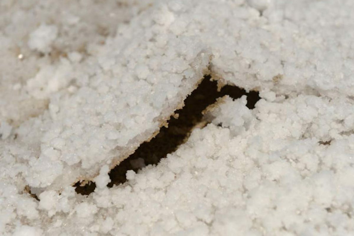 Image: Salt Lake Tribune