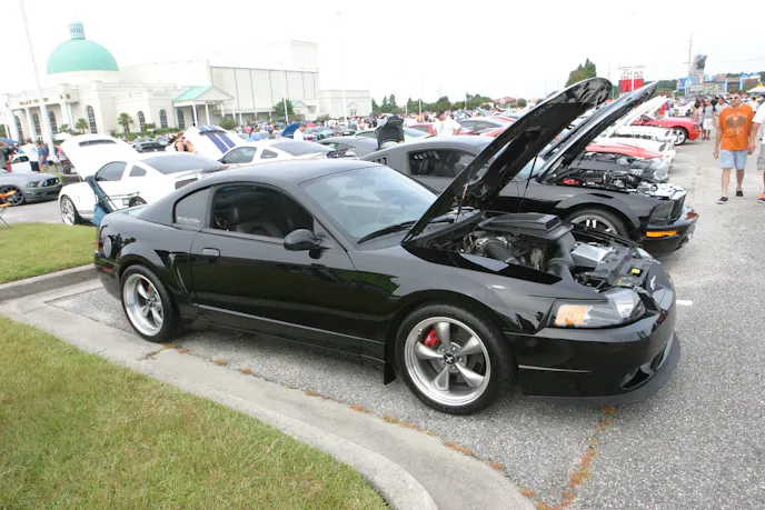 This photo was taken at Mustang Week 2015's Meet and Greet at the Palace Theatre. There weren't enough parking spots for all the Mustangs in attendance, and the cars spilled over into adjacent parking lots so everyone could take in the event's opening day.