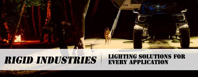 Rigid Lead Art_edited-2