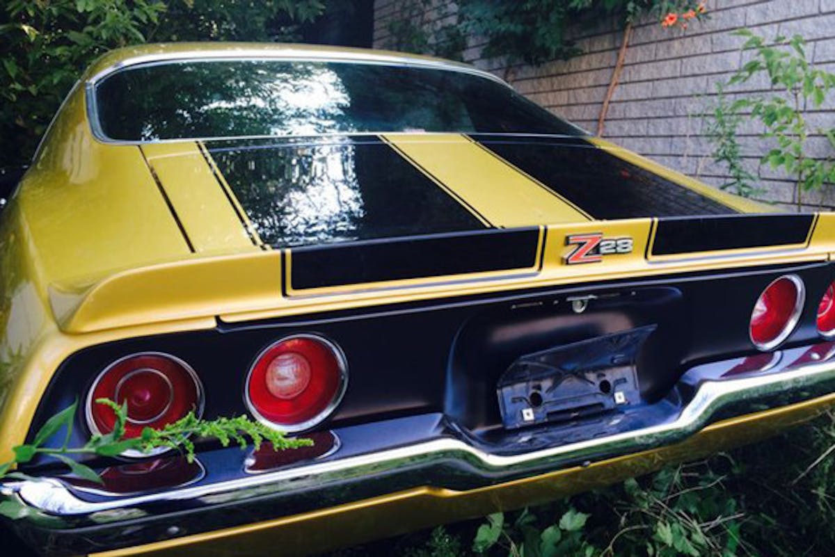 1971 Camaro in weeds