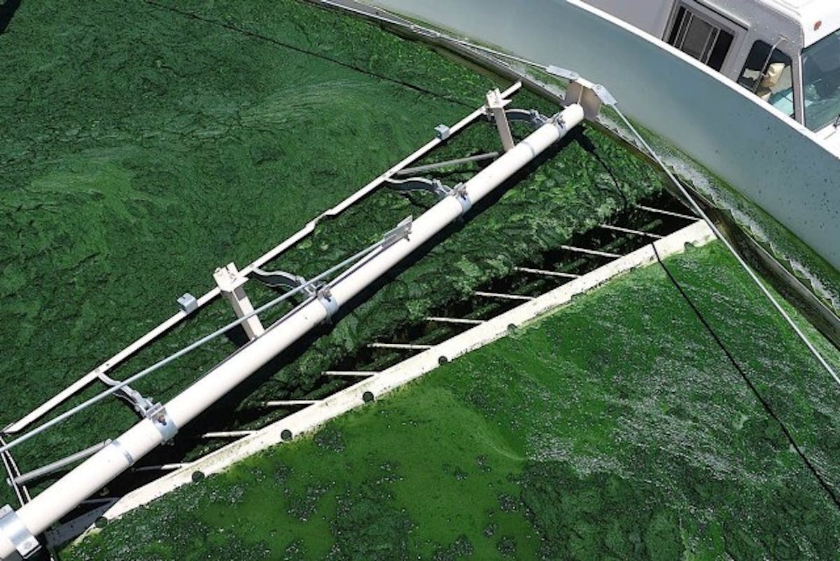 All of the systems at the Green Crude Farm including the harvest system (pictured) will undergo a shakedown process that is designed to confirm the viability of the demonstration algae farm.