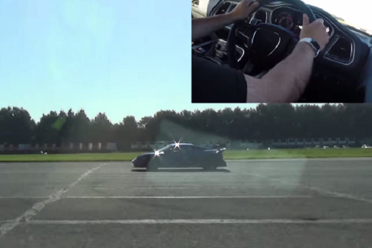 Can anybody identify what the hell this is?