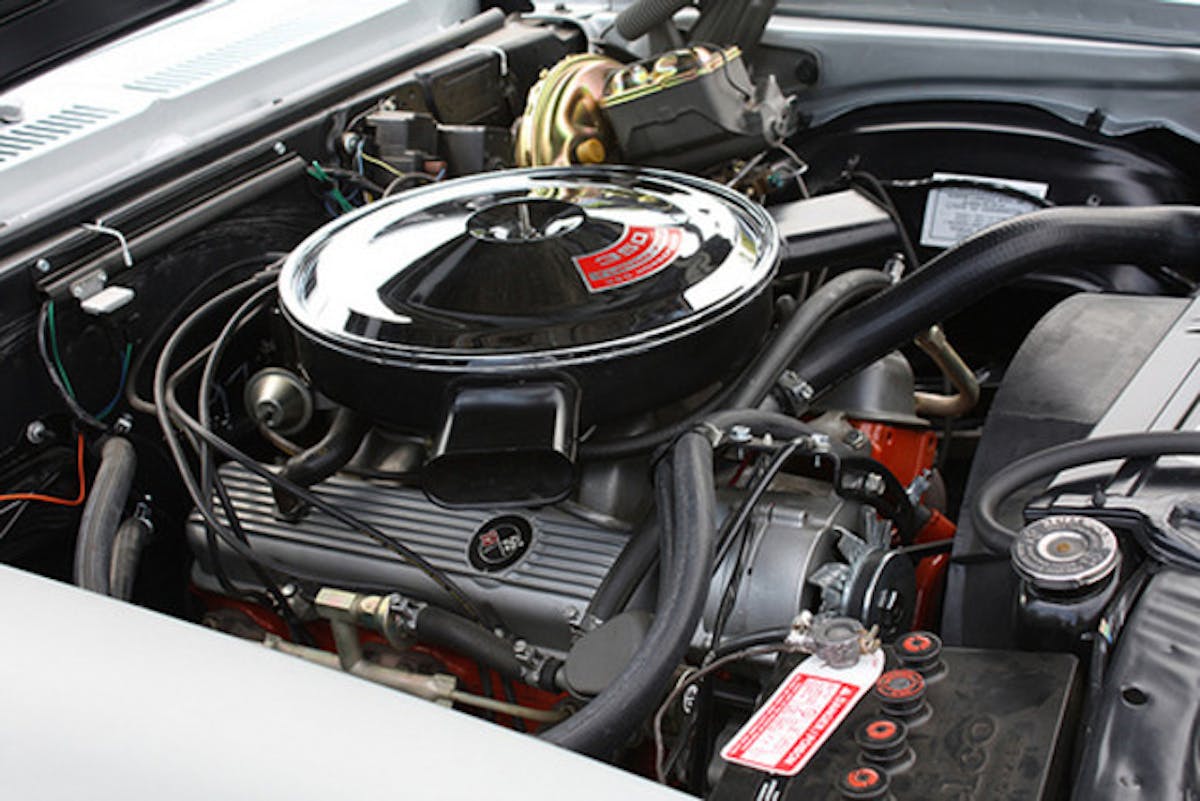 3157222938_402829754f