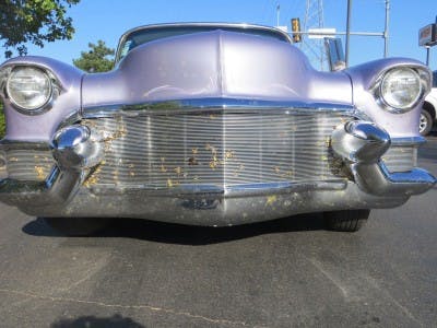 If bugs are badges, I win!