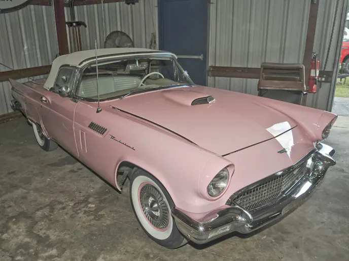 Zephyrhills Events DSC_0804