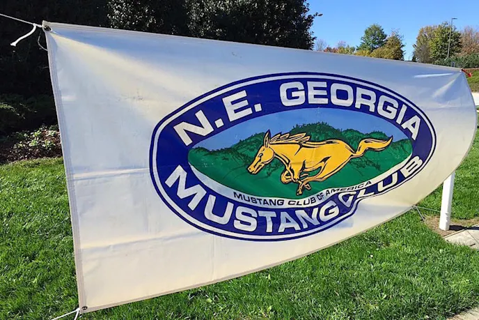 Image Source: White Mustang Registry