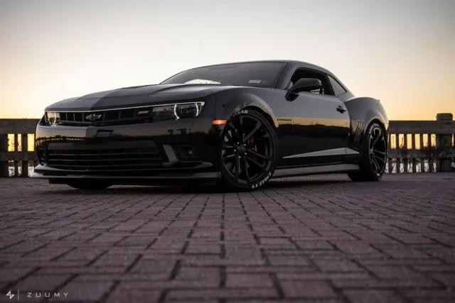 Photos by Vlad Shurigin.