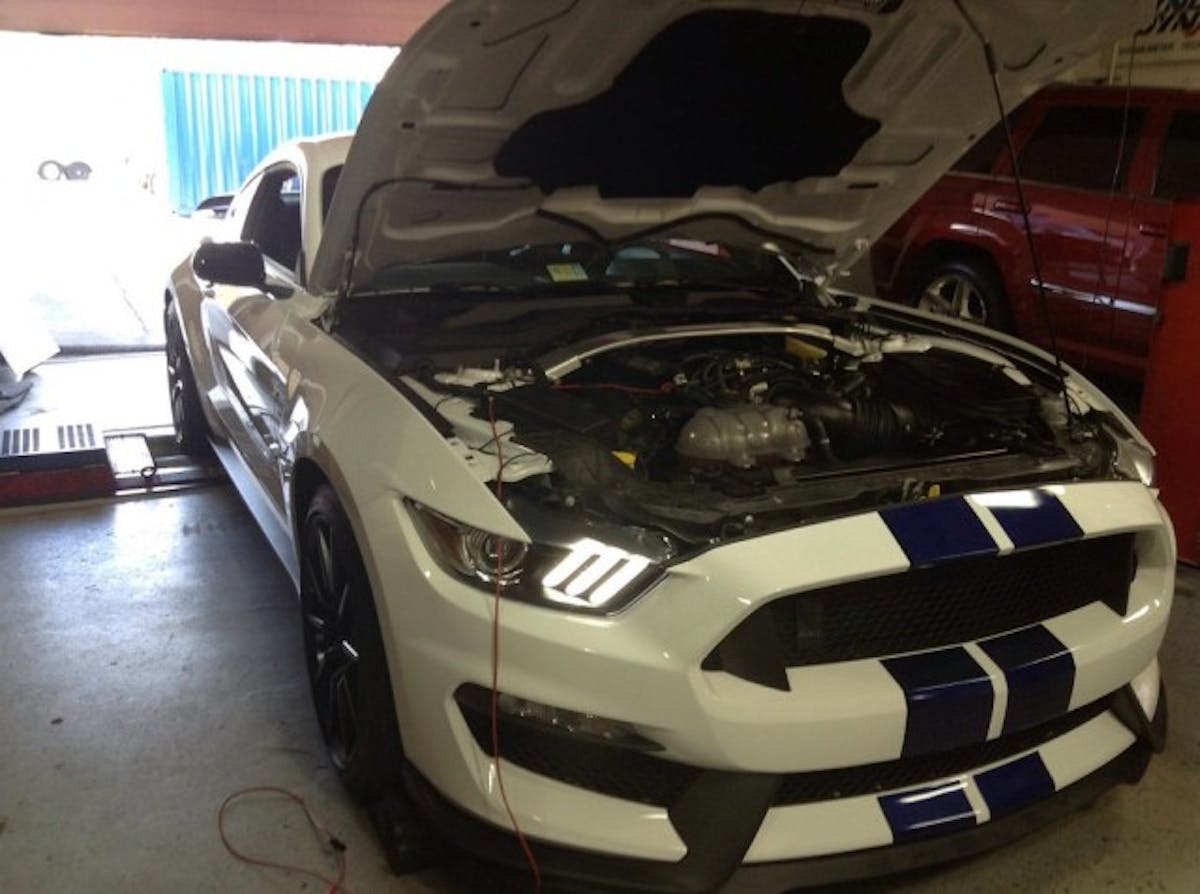 dyno-shelby-2