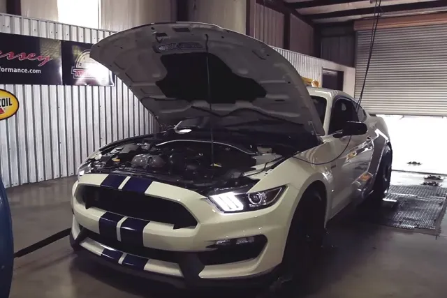 shelby-dyno-2