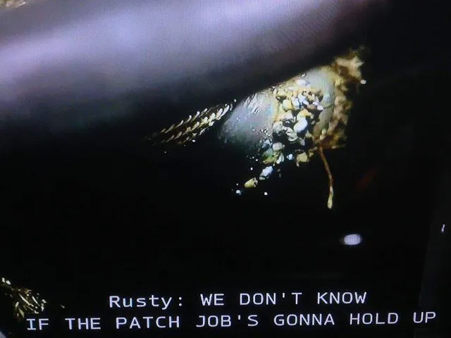 12463847_10205458597696614_250367700_n