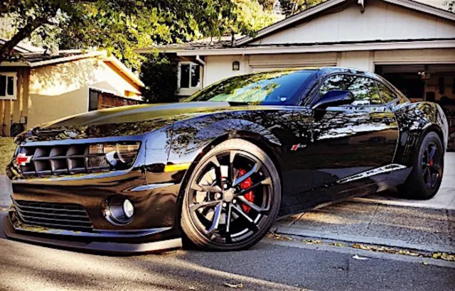 Images Source: Rob Mattei