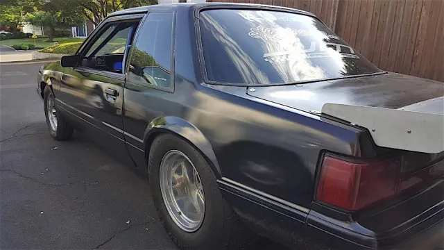 13396815_10156971912945641_665975400_o