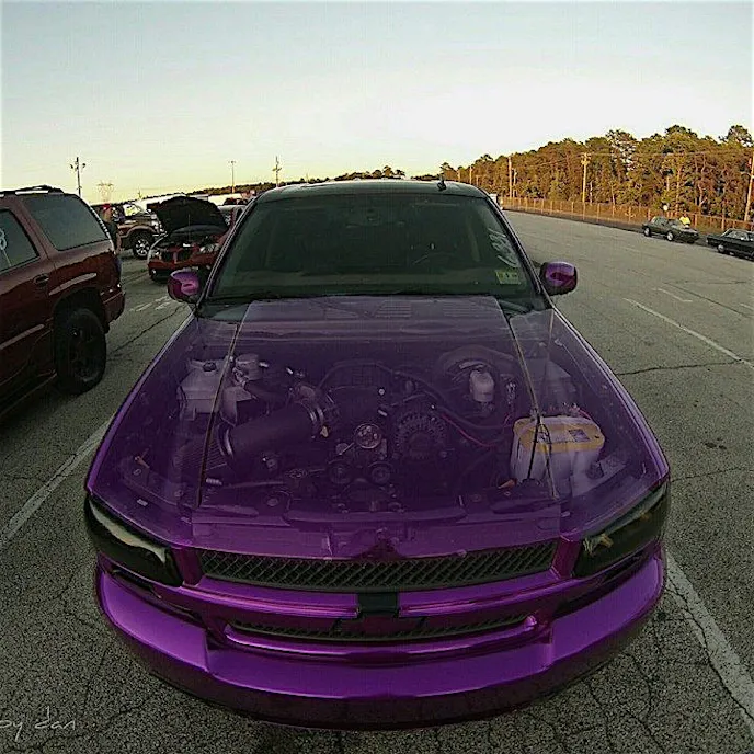 13522490_10205169162063628_57381137_n