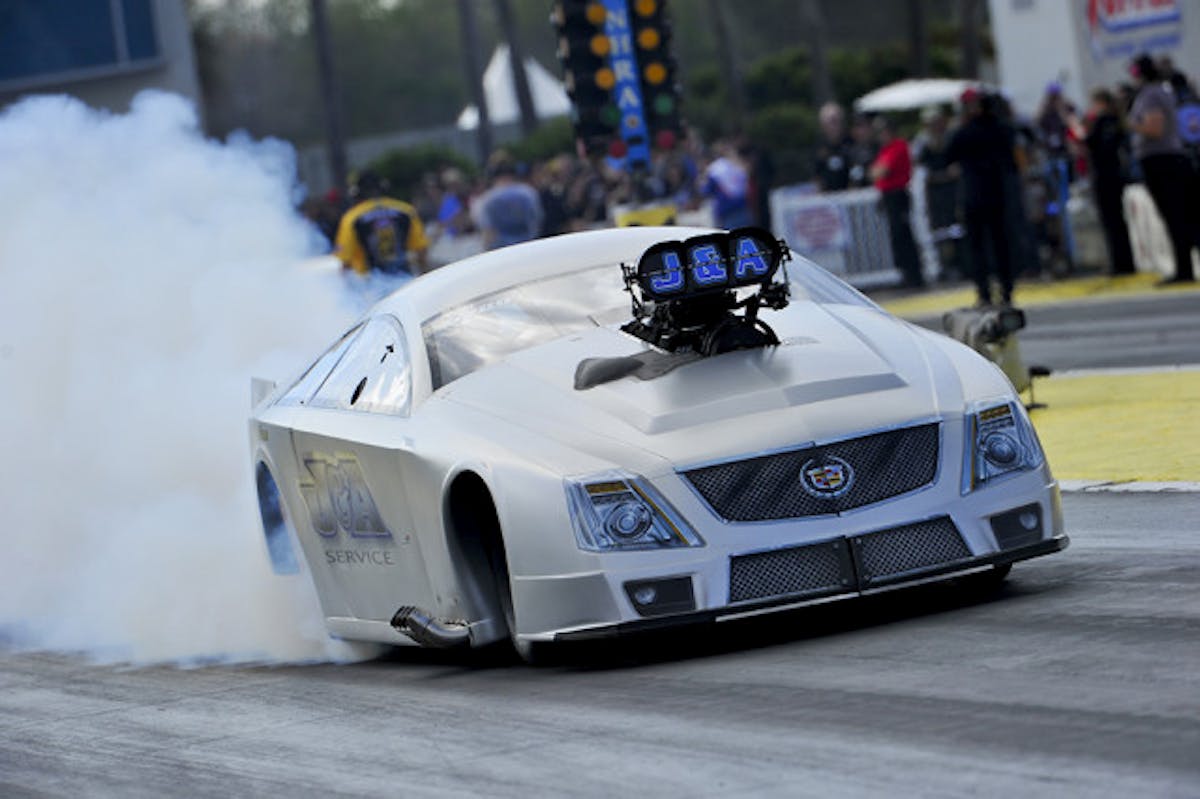 2016_Steven Whiteley_Action