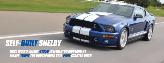 DAVE_WOLF_LEAD_ART_edited-1