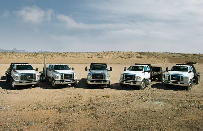 cmd17_highlight_lg_family