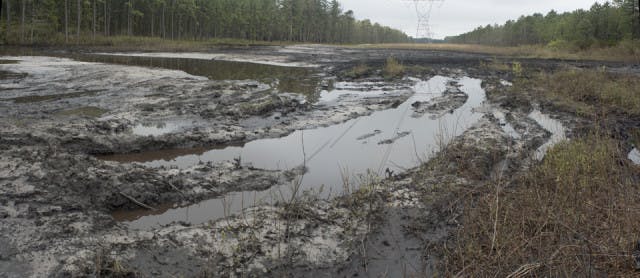 031-05-08-14-site-023