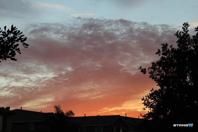 And just like that, we ended the night with some awesome new spark plugs and new outlook on our 3-Valve engine. That, and of course some well-earned beer.