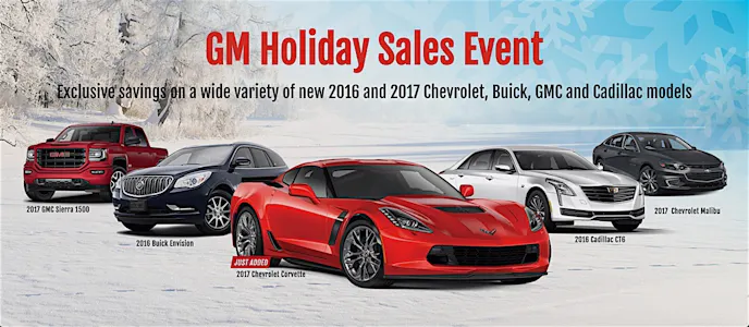 Screen Shot 2016-11-21 at 10.44.29 AM copy 2