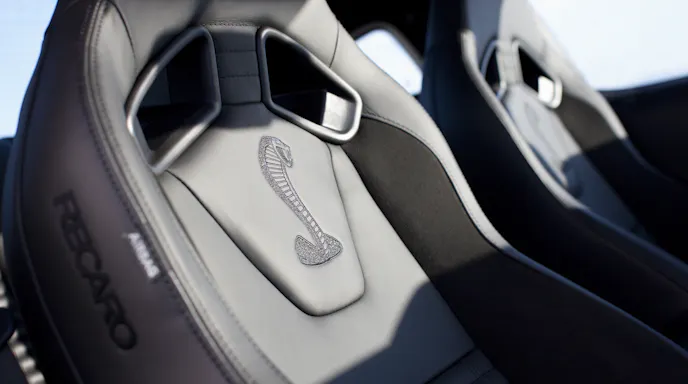 2013 Ford Shelby GT500